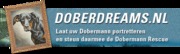 www.doberdreams.nl