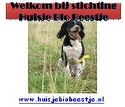 www.huisjebiobeestje.nl