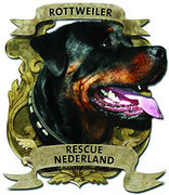 Rasverenigingen En Clubs Honden Links Hondenpage