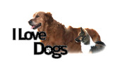 I Love Dogs