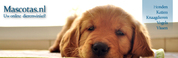 Mascotas.nl: Uw online dierenwinkel
