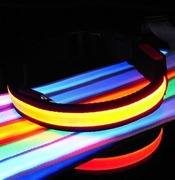 LED hondenhalsband