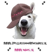 Aura´s spullen voor honden