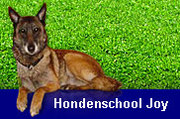 Hondenschool Joy Heerhugowaard