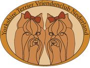 Yorkshire Terrier Vriendenclub Nederland
