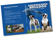 Amerikaanse Bulldog Boek