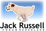 Jack Russell Forum