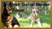 Het Duitse Herder Forum