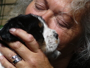 honden foto van leidy van der velde