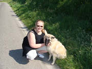 honden foto van alie