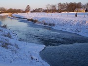 honden foto van Linda M