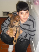 honden foto van Selahatdin