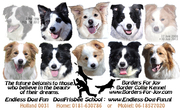 honden foto van Borders 4 Joy