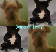 honden foto van chiara .L.