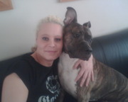 honden foto honden foto van chantal