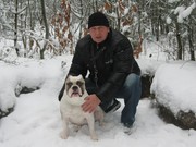 honden foto van fred