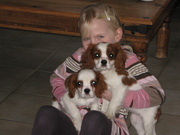 honden foto honden foto van angelina