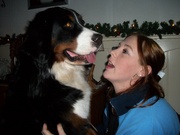 honden foto van melanie