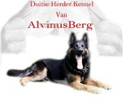 honden foto van kitty bornebroek en ronny andries