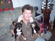 honden foto honden foto van marjoleine