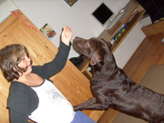 honden foto van jeske
