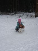 honden foto honden foto van erika