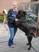 honden foto van linda