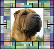 honden foto van hella kruissen