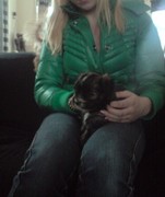 honden foto van raquel