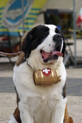honden foto van Cynthia