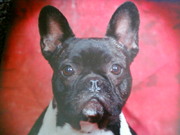 honden foto van Joyce