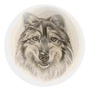 honden foto van Debby