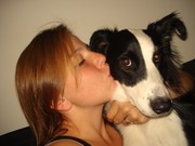 honden foto van Ingrid & Sacha