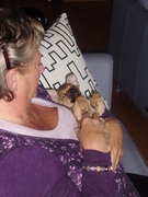 honden foto van ellie