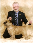 honden foto van Happy Fellow Home