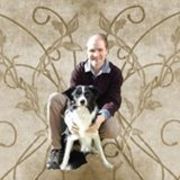 honden foto van Samojedski