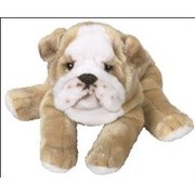 honden foto honden foto van Lewis