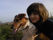 honden foto honden foto van berdet