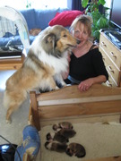 honden foto van J.C, Groenewegen