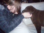 honden foto van Saïda & Laïka