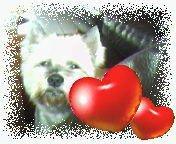 honden foto van Carla