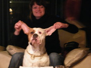 honden foto van cindy ludmann