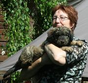 honden foto van JacquelinevT