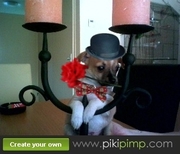 honden foto van Monique en kleine diego