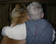 honden foto van braaf