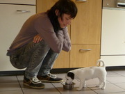 honden foto van Meis (meike)