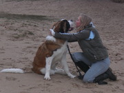 honden foto van brittiej-britt