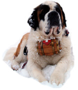 honden foto van Mario Emanuel