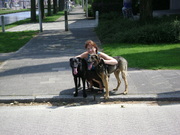 honden foto van Vanessa