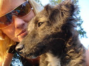 honden foto van Inge 